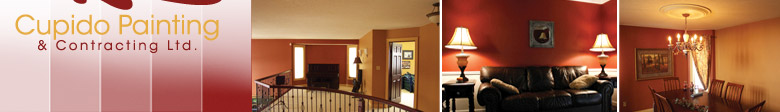 Cupido Painting & Contracting Ltd.